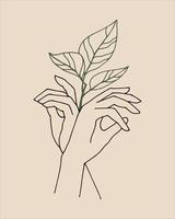 gestileerde sierlijke vrouwelijke handen en een plant. boho moderne esthetische achtergrond met vrouwen handgebaren. moderne minimalistische kunstdruk, symbool van lichaamsverzorging, eco-cosmetica. vector