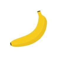 banaan. rijp fruit geïsoleerd op een witte achtergrond. vector