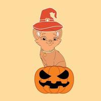 Halloween-kattenzitting op pompoen met glimlach op gezicht vectorillustratie vector