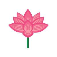 bloem lotus natuur vector