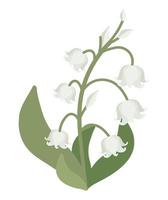 witte bloemen en bladeren vector