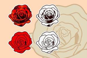 roze bloem vector illustratie set