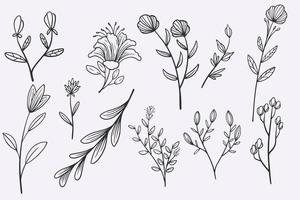 bloem bladeren doodle hand getrokken vector illustratie set