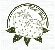 product biologisch fruit vector