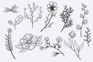 bloem bladeren doodle hand getrokken vector illustratie set