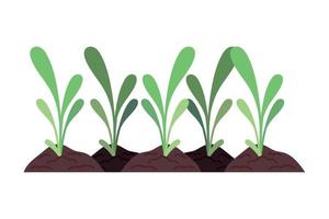 landbouwgewassen in de grond vector