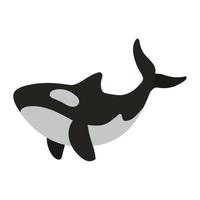 walvis wild dier vector