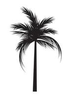 strand boom palm silhouet vector