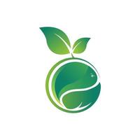 fruit logo vector