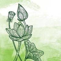 hand getekend mooie lotusbloem vorm illustratie vector ontwerp