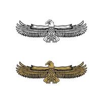 United State Marine Corps Eagle ega ontwerp illustratie vector