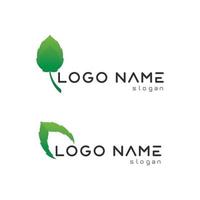 boom blad vector en groen logo ontwerp vriendelijk concept