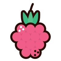 blackberry fruit doodle icon vector