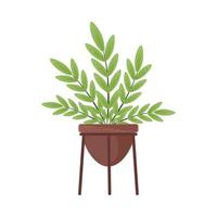 plant in pot icoon vector