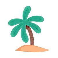 boom palm plant vector