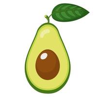 verse halve avocado met blad geïsoleerd op een witte achtergrond. zomerfruit voor een gezonde levensstijl. biologisch fruit. cartoon-stijl. vectorillustratie voor elk ontwerp. vector