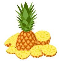 vers geheel, half en gesneden plakjes ananas fruit geïsoleerd op een witte achtergrond. zomerfruit voor een gezonde levensstijl. biologisch fruit. cartoon-stijl. vectorillustratie voor elk ontwerp. vector