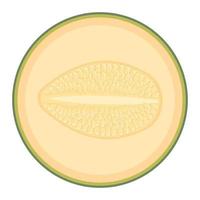 verse halve meloen fruit geïsoleerd op een witte achtergrond. Cantaloupe meloen. zomerfruit voor een gezonde levensstijl. biologisch fruit. cartoon-stijl. vectorillustratie voor elk ontwerp. vector