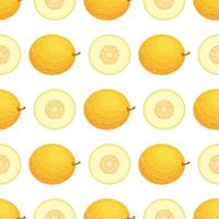 naadloos patroon met vers geheel en half meloenfruit op witte achtergrond. Honing meloen. zomerfruit voor een gezonde levensstijl. biologisch fruit. vectorillustratie voor elk ontwerp. vector