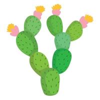 cactusplant met bloemen vector