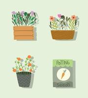 tuinplant en zaden vector