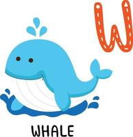 illustratie geïsoleerd dier alfabet letter w-walvis vector