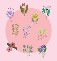 bloemen en planten vector