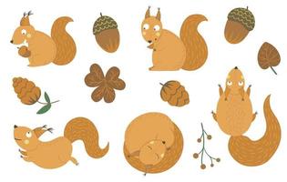 vector set cartoon stijl hand getekende platte grappige eekhoorns in verschillende poses met kegel, eikel, blad illustraties. schattige herfstillustratie van bosdieren