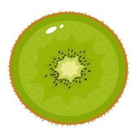 verse halve kiwi's geïsoleerd op een witte achtergrond. zomerfruit voor een gezonde levensstijl. biologisch fruit. cartoon-stijl. vectorillustratie voor elk ontwerp. vector