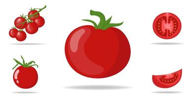 set van verse rode tomaten geïsoleerd op een witte achtergrond. tak, hele, halve en plak tomatenpictogrammen voor markt, receptontwerp. biologisch voedsel. cartoon-stijl. vectorillustratie voor ontwerp, web. vector