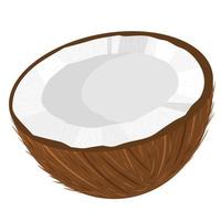 cartoon gedetailleerde bruine exotische halve kokosnoot geïsoleerd op een witte achtergrond. zomerfruit voor een gezonde levensstijl. biologisch fruit. cartoon-stijl. vectorillustratie voor elk ontwerp. vector