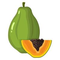 verse heldere exotische geheel en gesneden segment papaya fruit geïsoleerd op een witte achtergrond. zomerfruit voor een gezonde levensstijl. biologisch fruit. cartoon-stijl. vectorillustratie voor elk ontwerp. vector