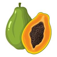 verse heldere exotische hele en halve papaya fruit geïsoleerd op een witte achtergrond. zomerfruit voor een gezonde levensstijl. biologisch fruit. cartoon-stijl. vectorillustratie voor elk ontwerp. vector