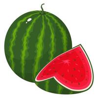 vers geheel en gesneden segment watermeloen fruit geïsoleerd op een witte achtergrond. zomerfruit voor een gezonde levensstijl. biologisch fruit. cartoon-stijl. vectorillustratie voor elk ontwerp. vector