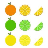 sinaasappel, limoen, citroen. citrusvruchten met veel vitamine C. zuur, waardoor het fris aanvoelt. vector
