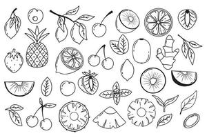 set van fruit en bessen. doodle stijl. citroen. ananas, kiwi. kersenaardbei in krabbelstijl. hele vruchten. fruit pieces.vector afbeelding. vector