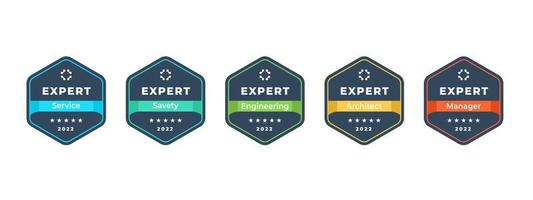 certificering badge ontwerp. geometrische zeshoek logo vorm. vectorillustratie. vector