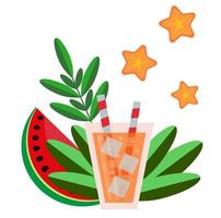 samenstelling van een cocktail met ijs en takjes, watermeloenplakken, bladeren en takjes, sterren vector