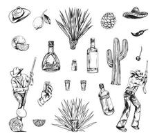 tequila-productieillustraties in kunstinktstijl vector