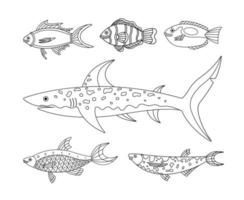 vector collectie van de vissen