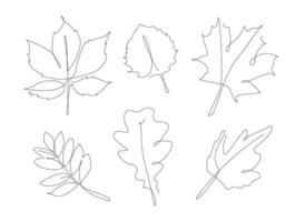 bos laat één regel achter. herfstblad lineaire collectie. eenvoudige omtrek bladeren. vector