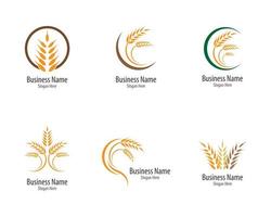 landbouw tarwe en graan logo set vector