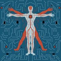 menselijke anatomie met circuitlijn en hersenen verbonden met processor geschikt voor illustratie van kunstmatige intelligentie vector