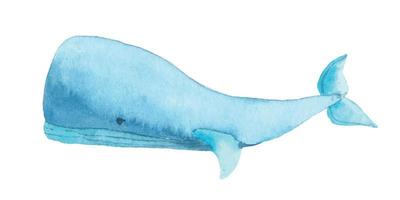 aquarel blauwe vinvis. hand getekende illustratie van grote onderwater zoogdier dier. geïsoleerd object op een witte achtergrond. zee- en oceaanfauna vector