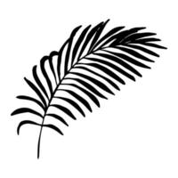 eenvoudige tropische bladillustratie. hand getekende vector clipart. botanische doodle