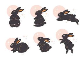 schattige konijntjes met astrologische elementen. goochelaar konijnen. jaar van het konijn vector