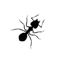 grote zwarte mier silhouet. een insect met zes poten en krachtige kaken. het wordt gegeten als geroosterde snack met vectorzout vector