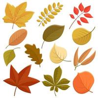 vector set herfstbladeren