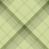 naadloos patroon in prachtige discrete licht- en donkergroene kleuren voor plaid, stof, textiel, kleding, tafelkleed en andere dingen. vector afbeelding. 2