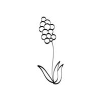 bloemen en kruiden geïsoleerd op witte achtergrond vector